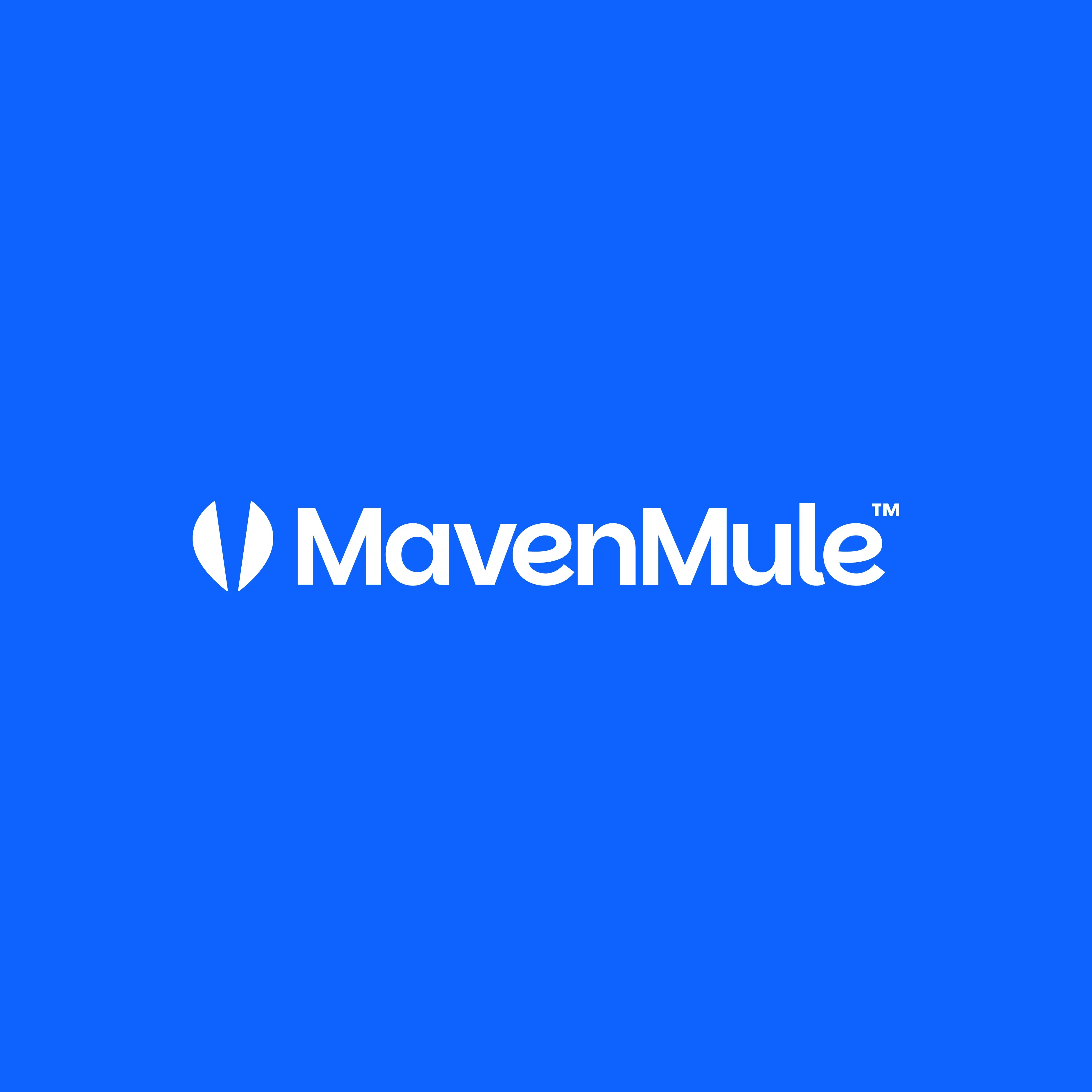 Maven Mule project header image