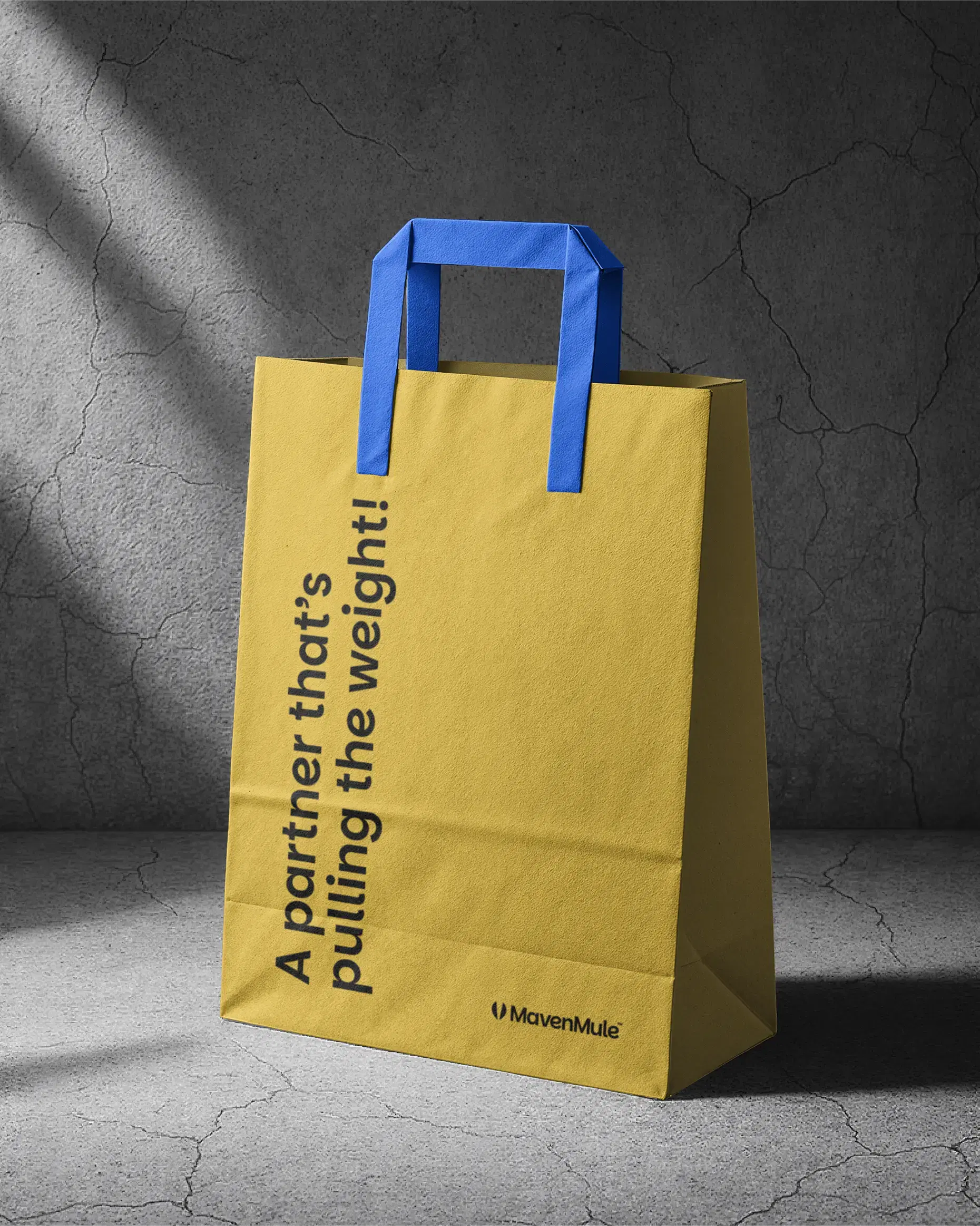 Maven Mule bag design