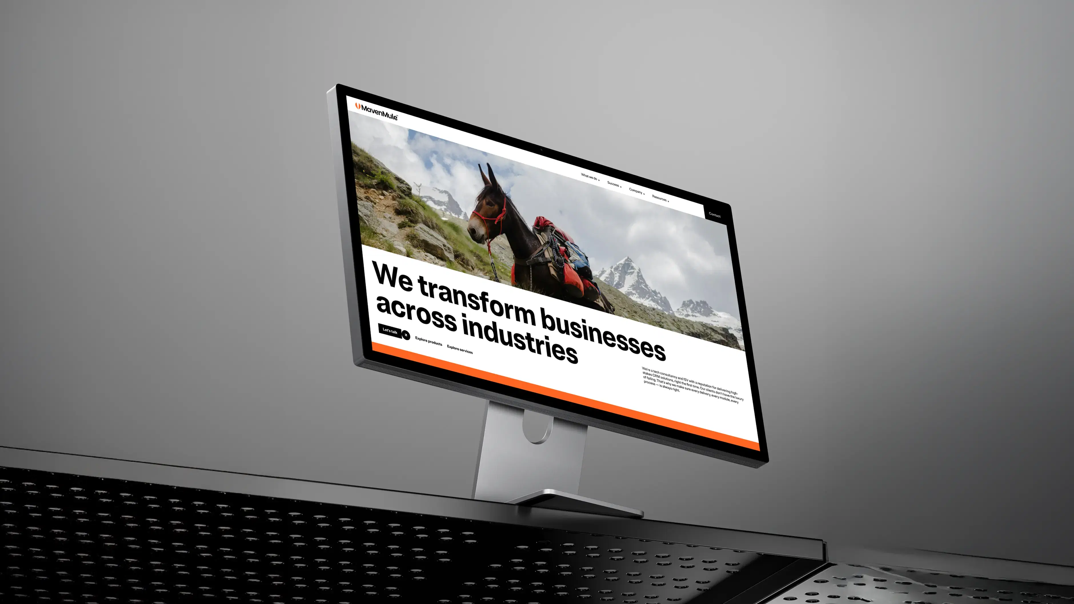 Maven Mule desktop mockup