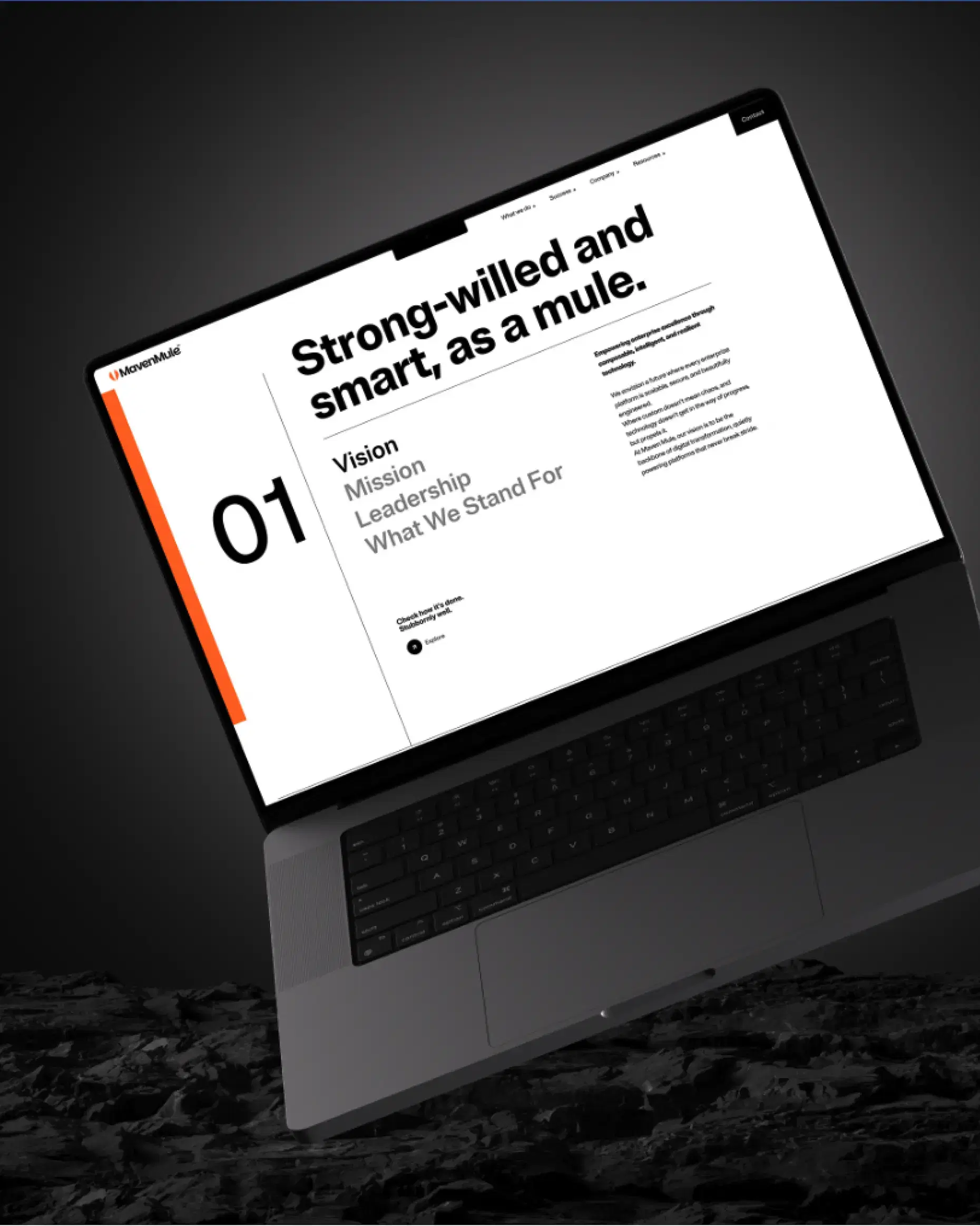 Maven Mule UI laptop